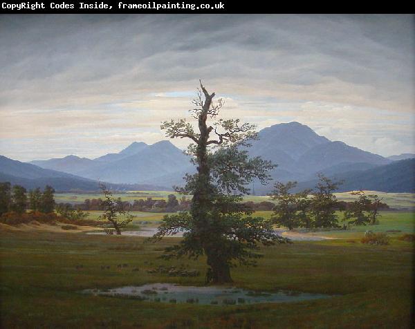Caspar David Friedrich Landscape with Solitary Tree